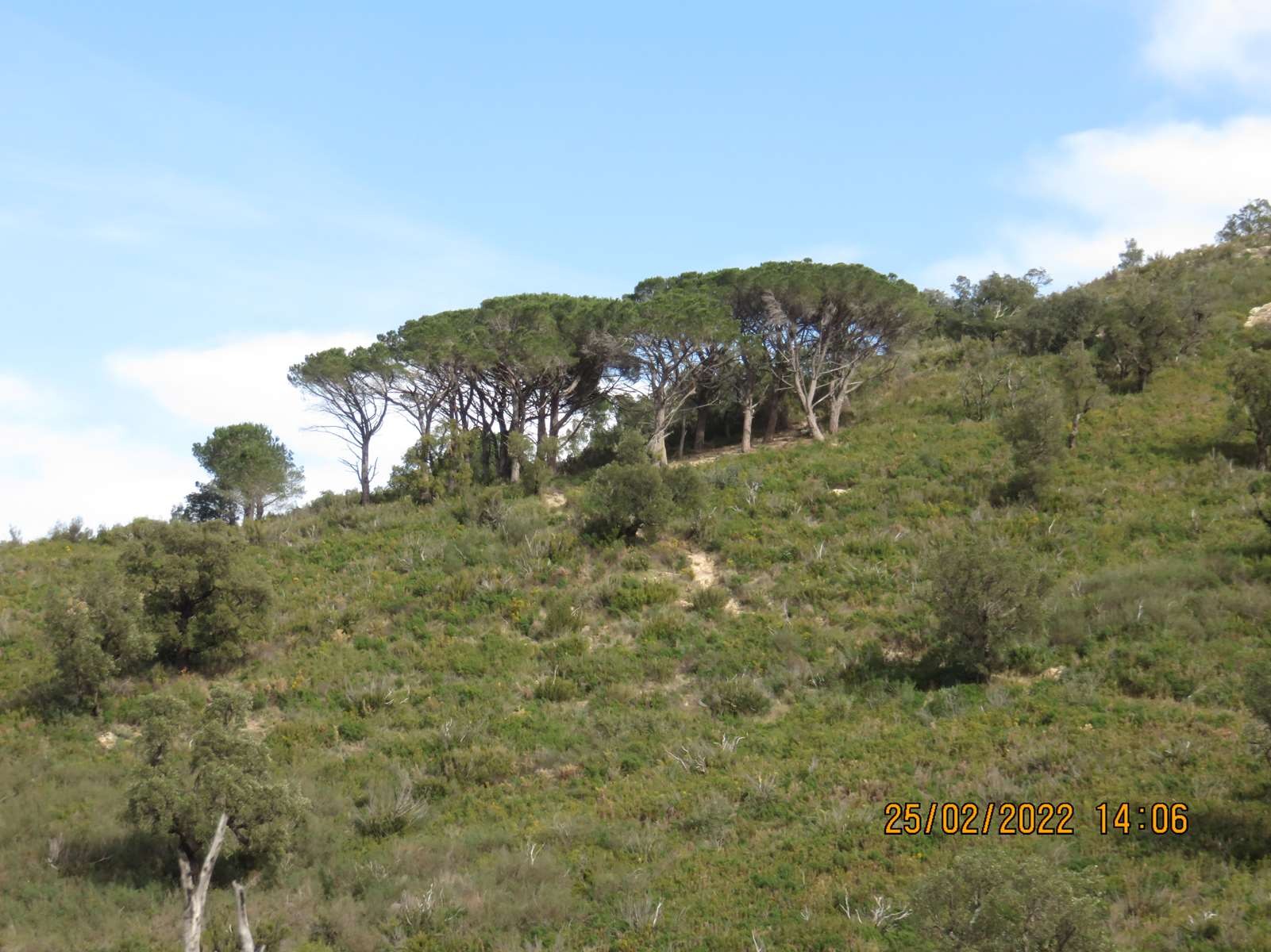 Copie 0 img 2958