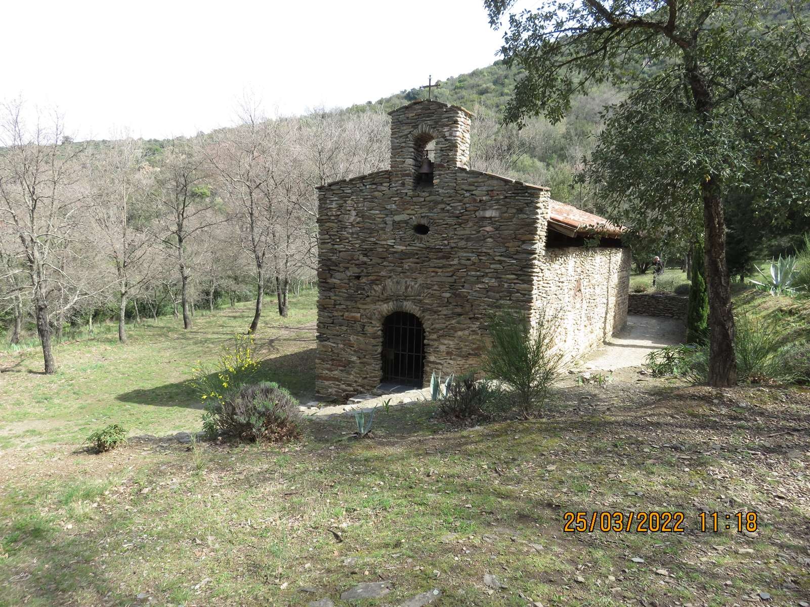 Copie 0 img 3063