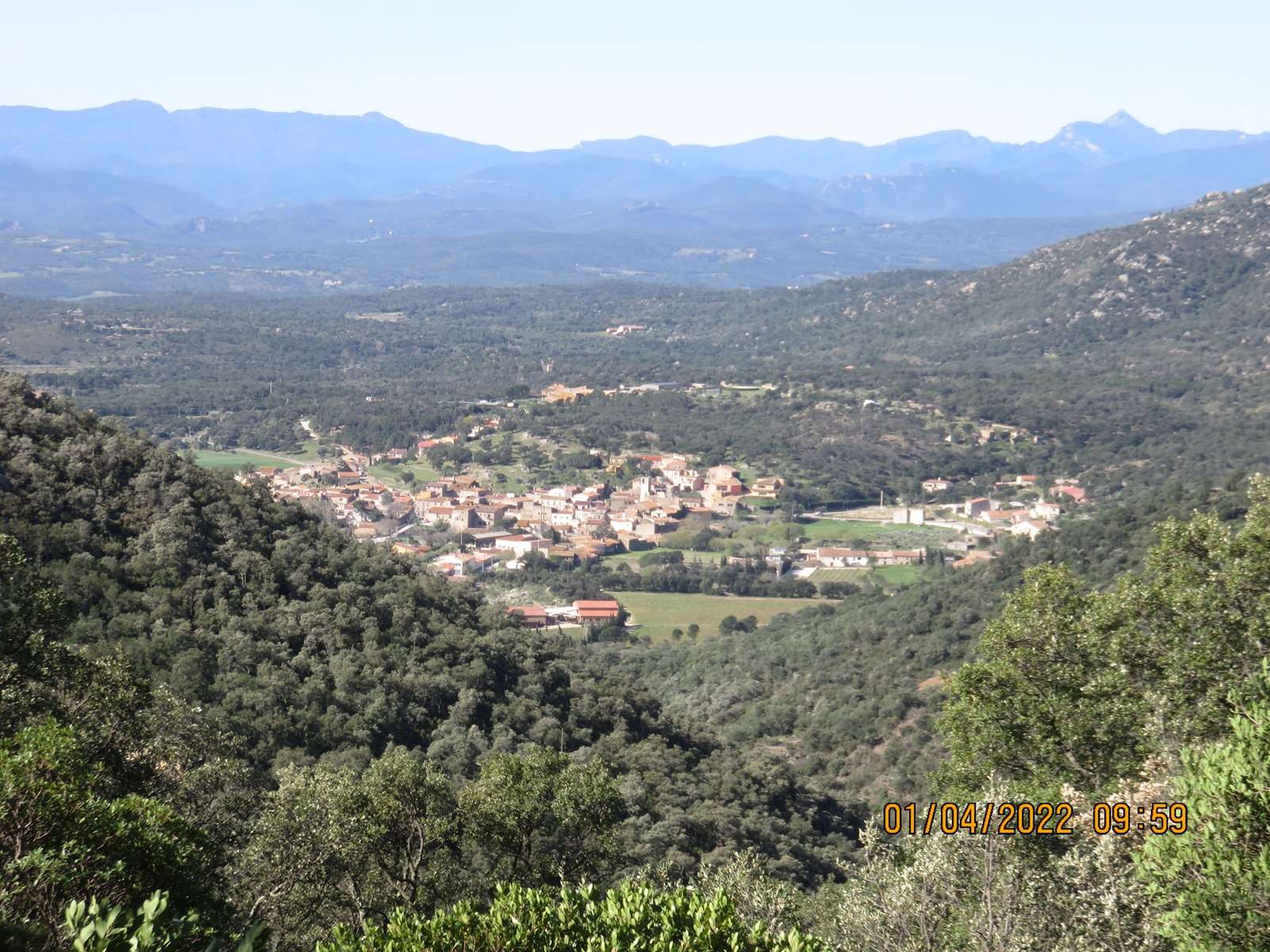 Copie 0 img 3094