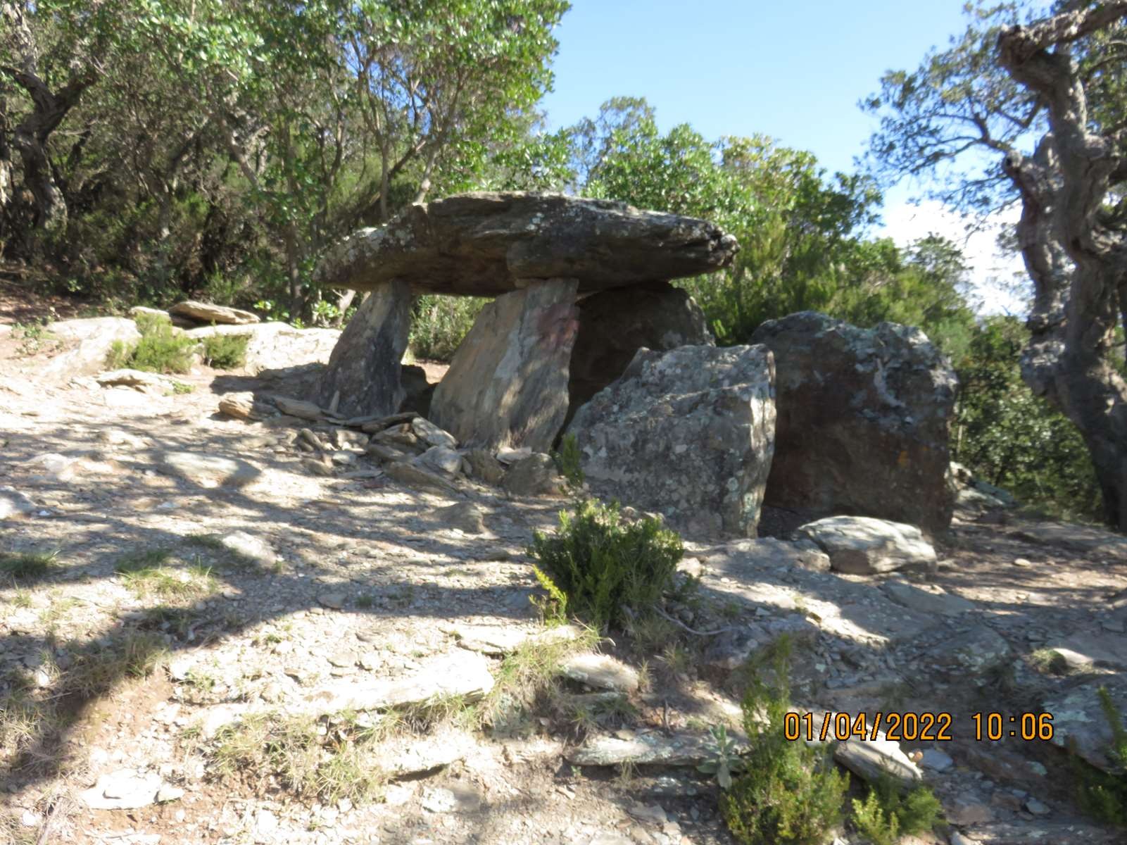 Copie 0 img 3100