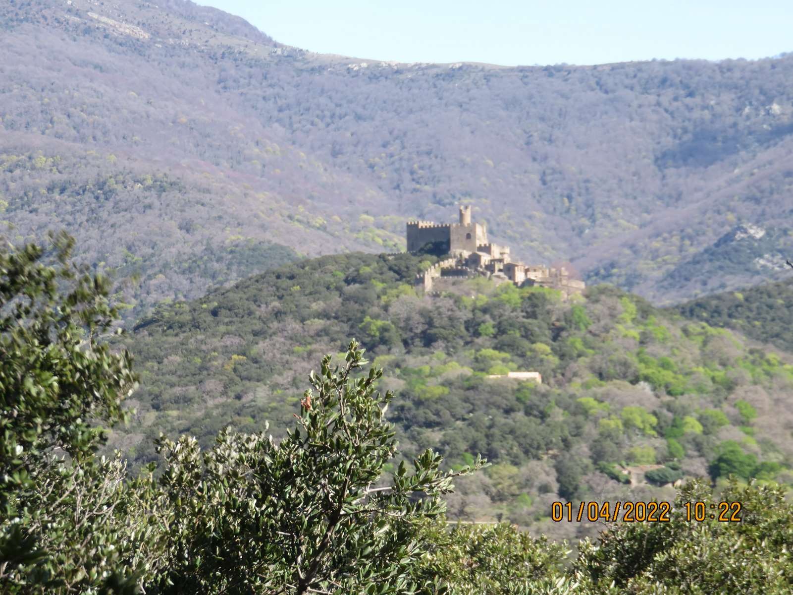 Copie 0 img 3104