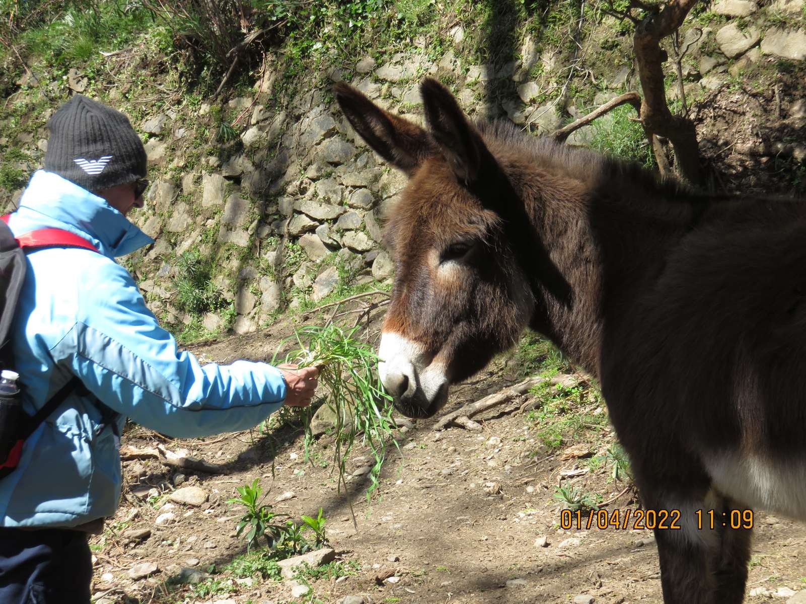 Copie 0 img 3125