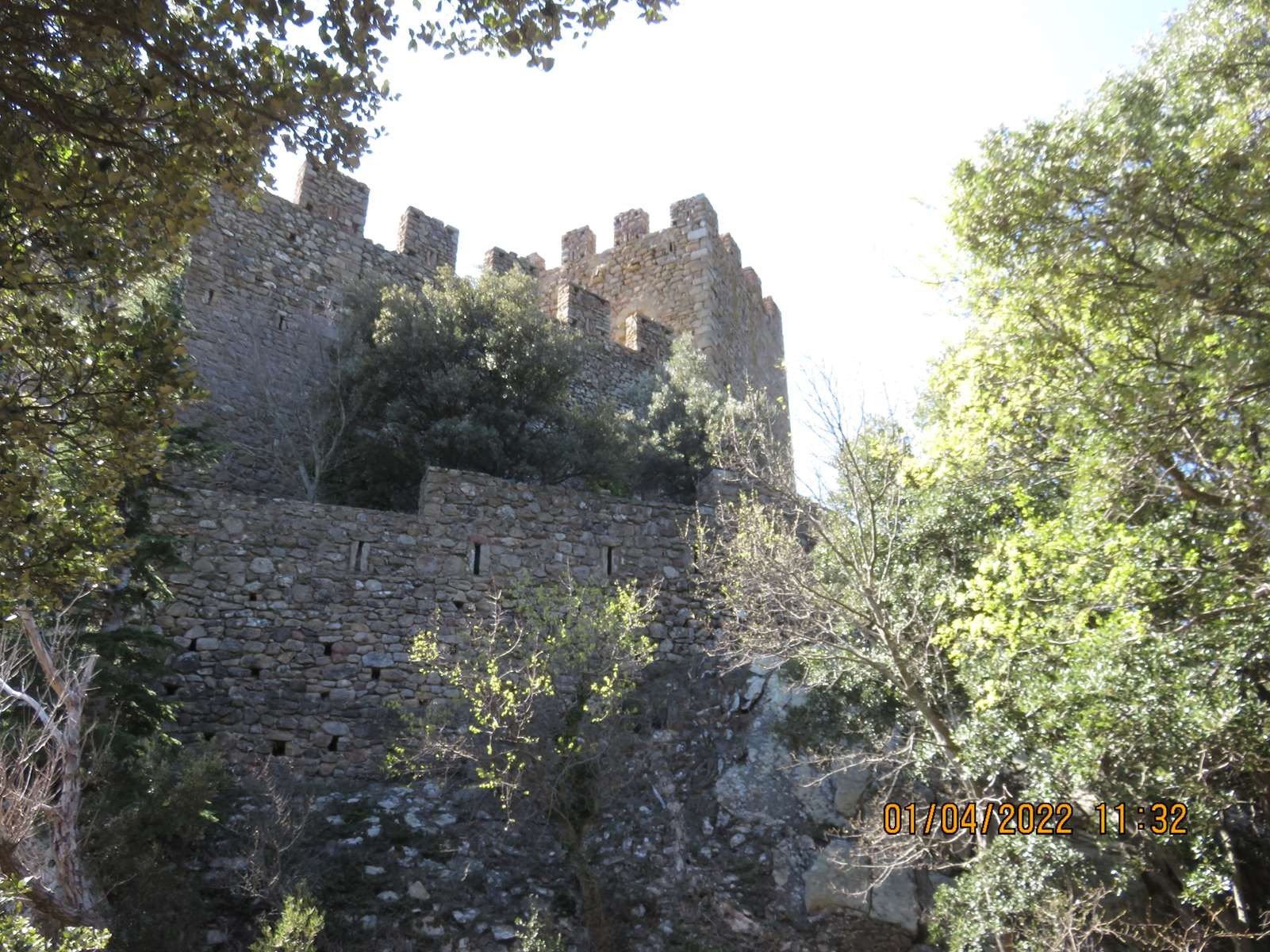 Copie 0 img 3130