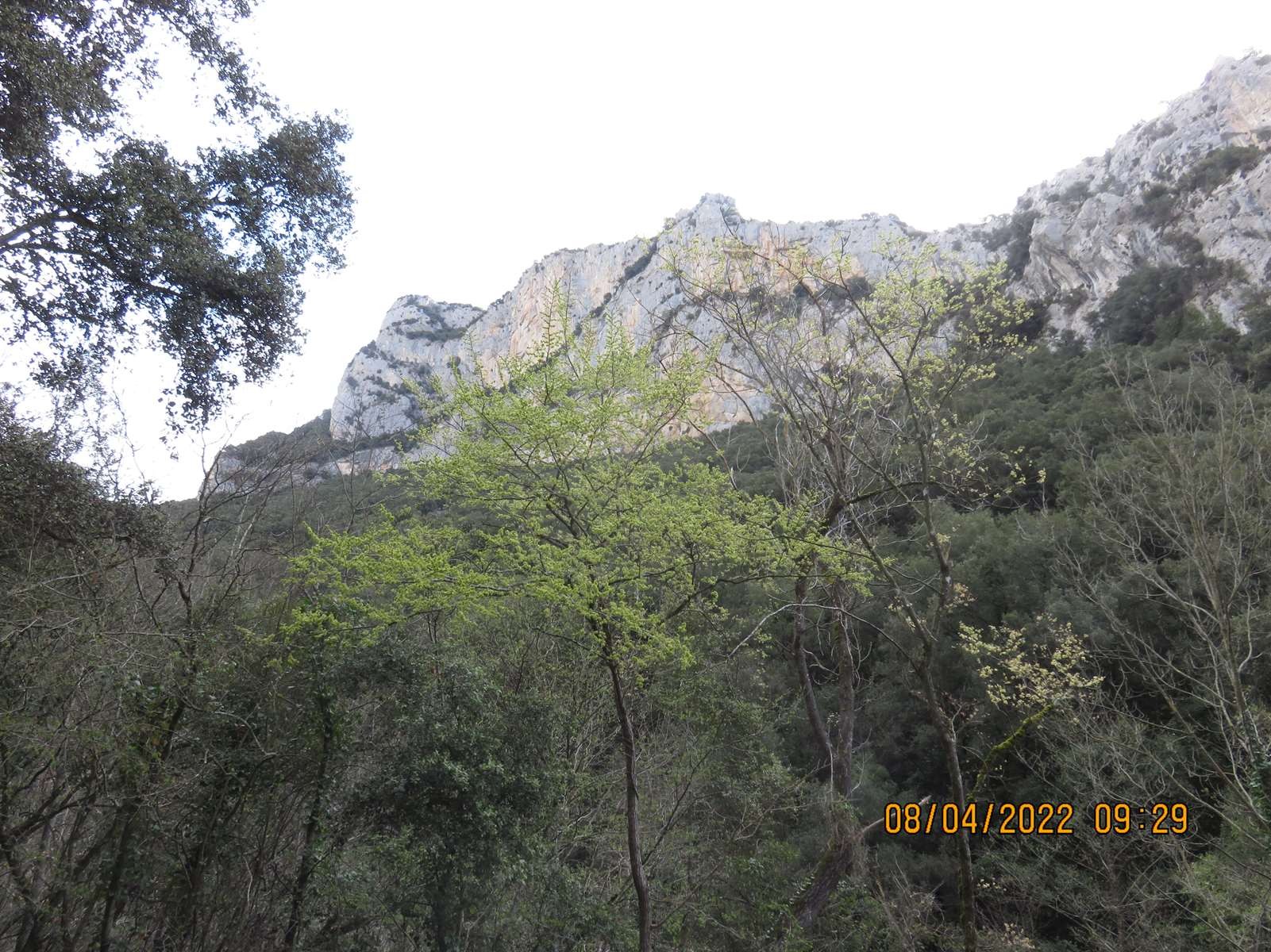 Copie 0 img 3169