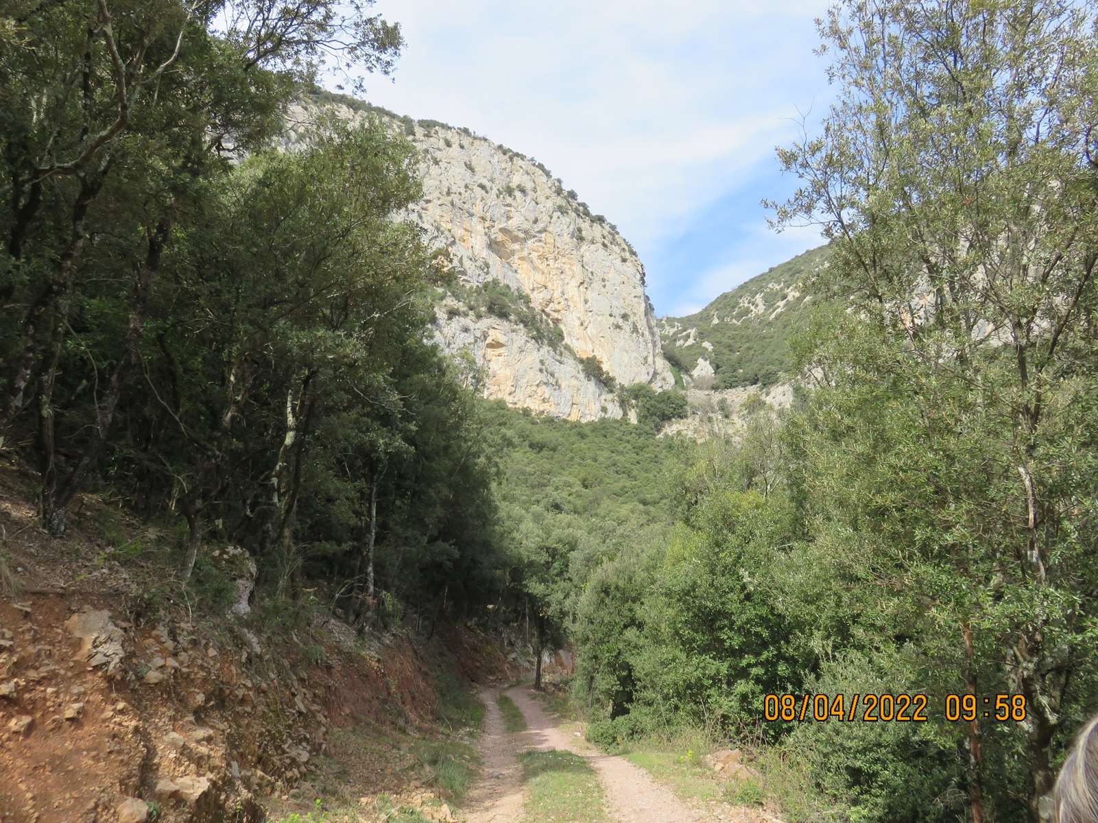 Copie 0 img 3174