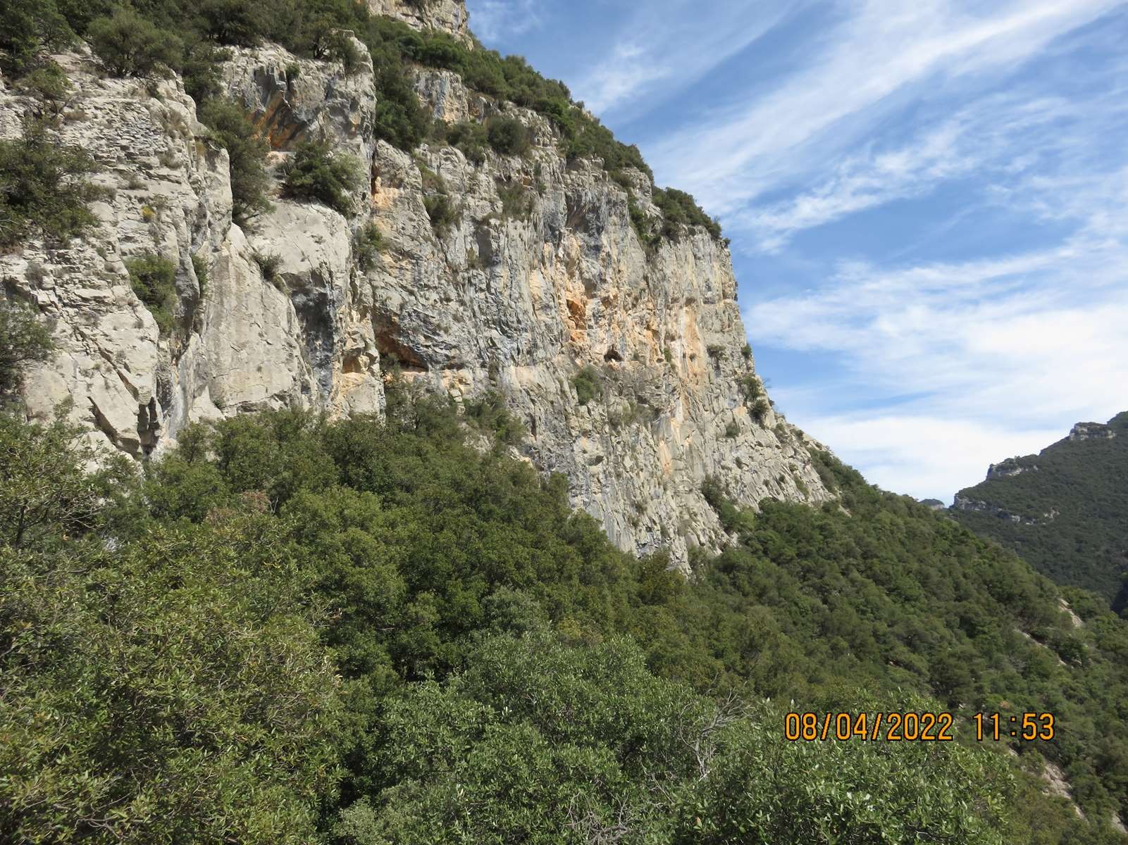 Copie 0 img 3187