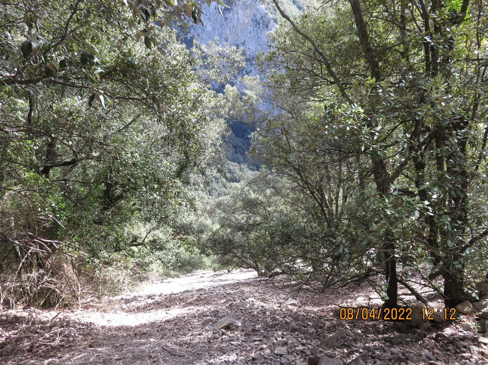 Copie 0 img 3193