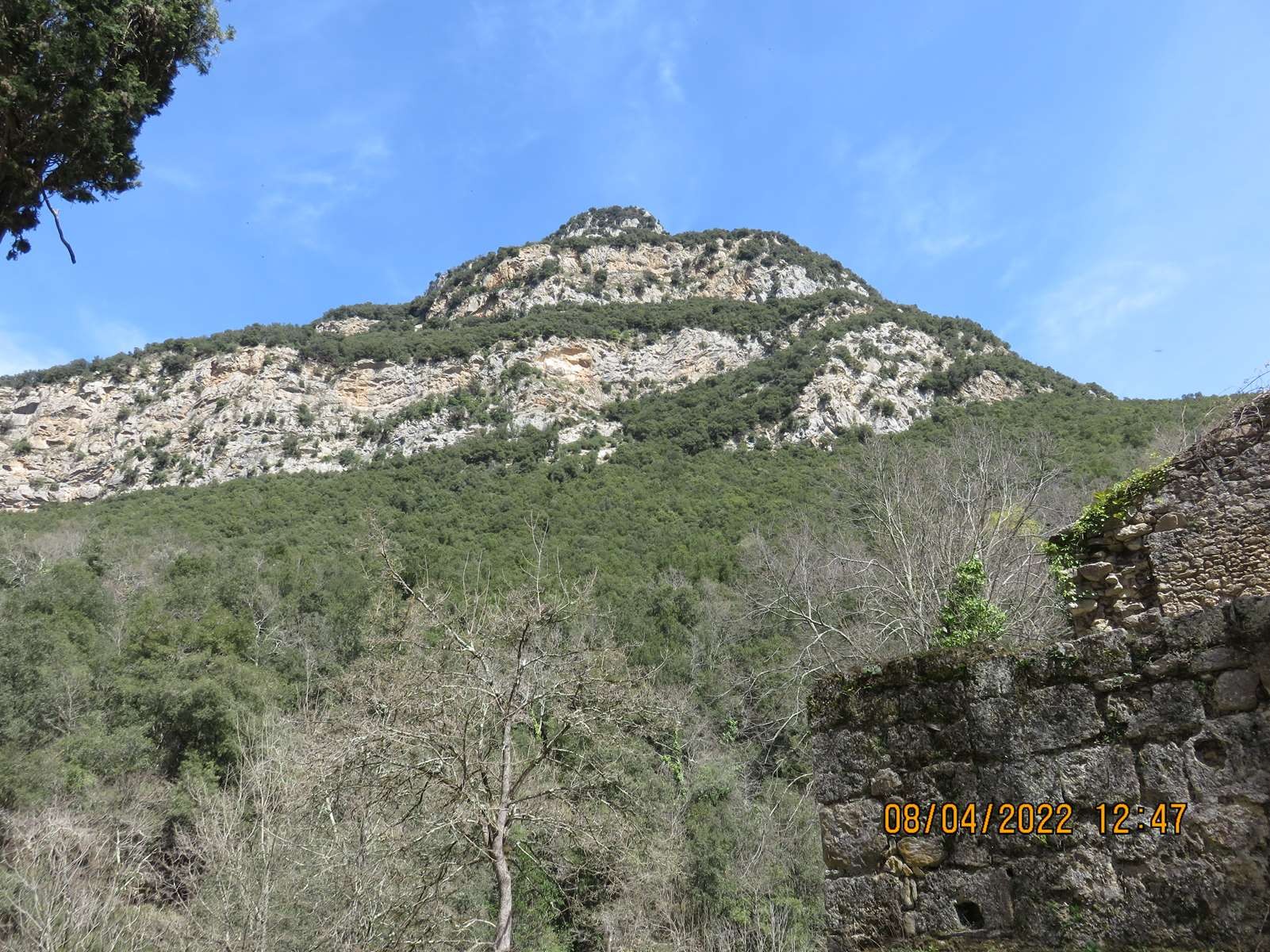 Copie 0 img 3199