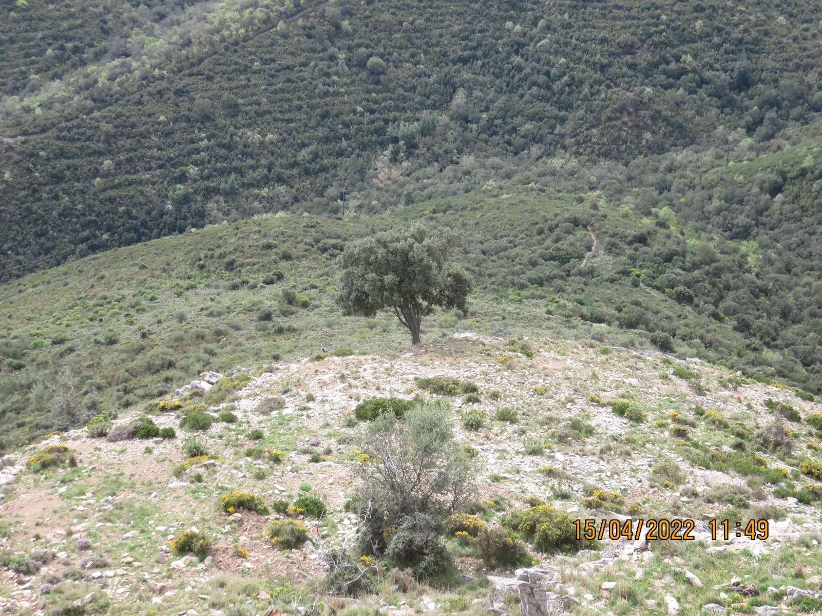 Copie 0 img 3309