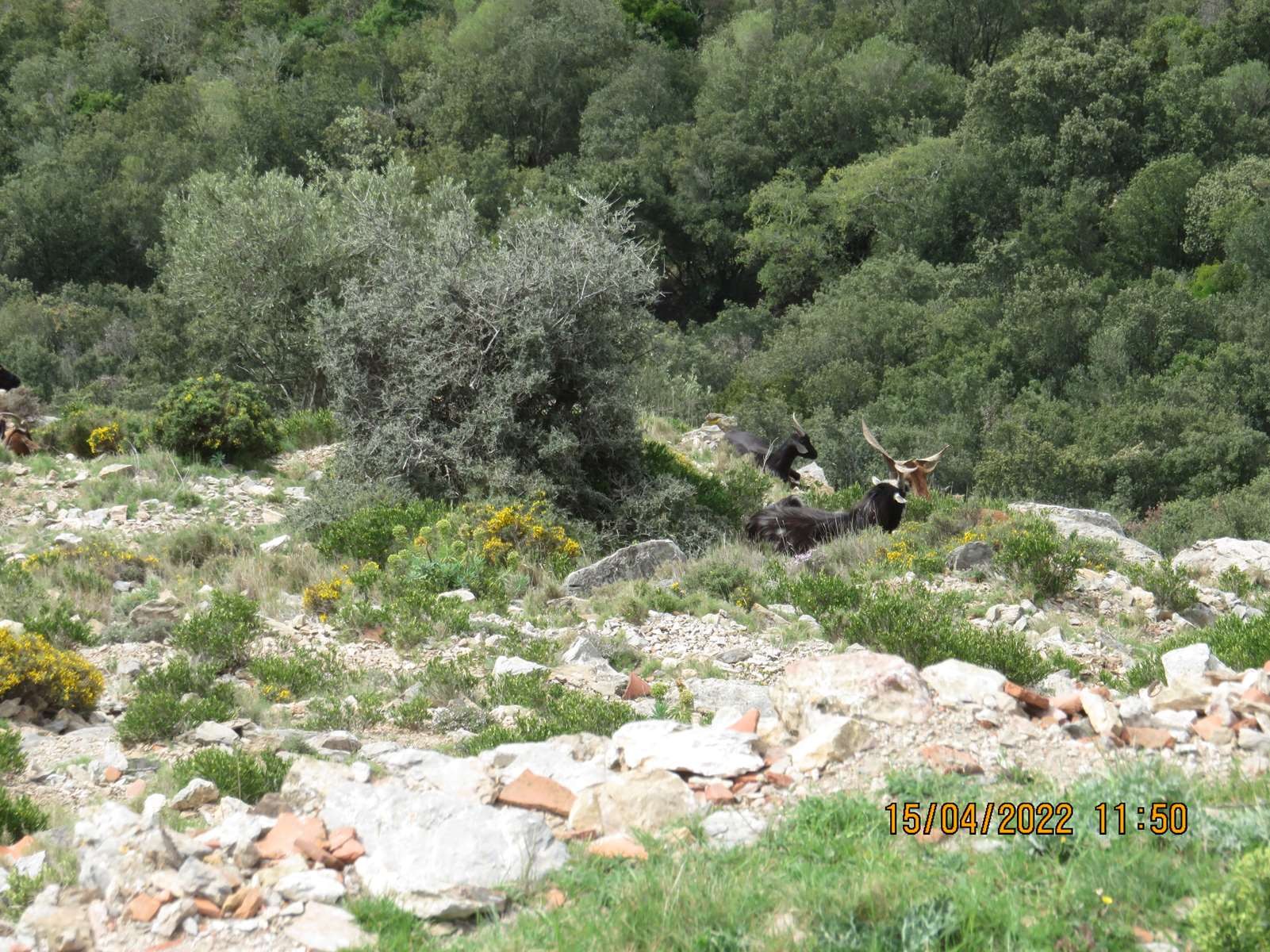 Copie 0 img 3310