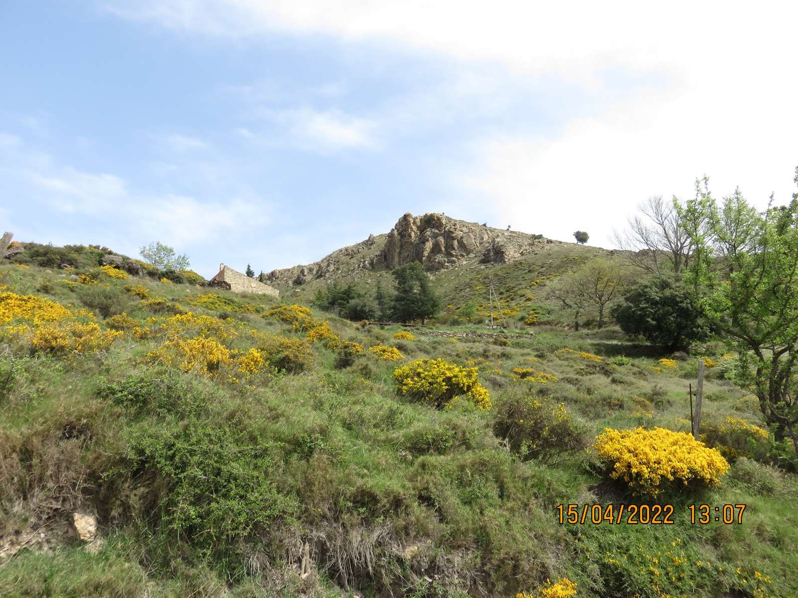 Copie 0 img 3317
