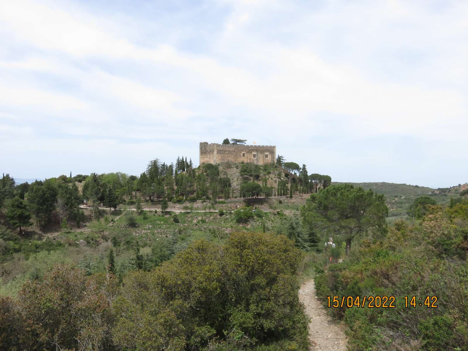 Copie 0 img 3324