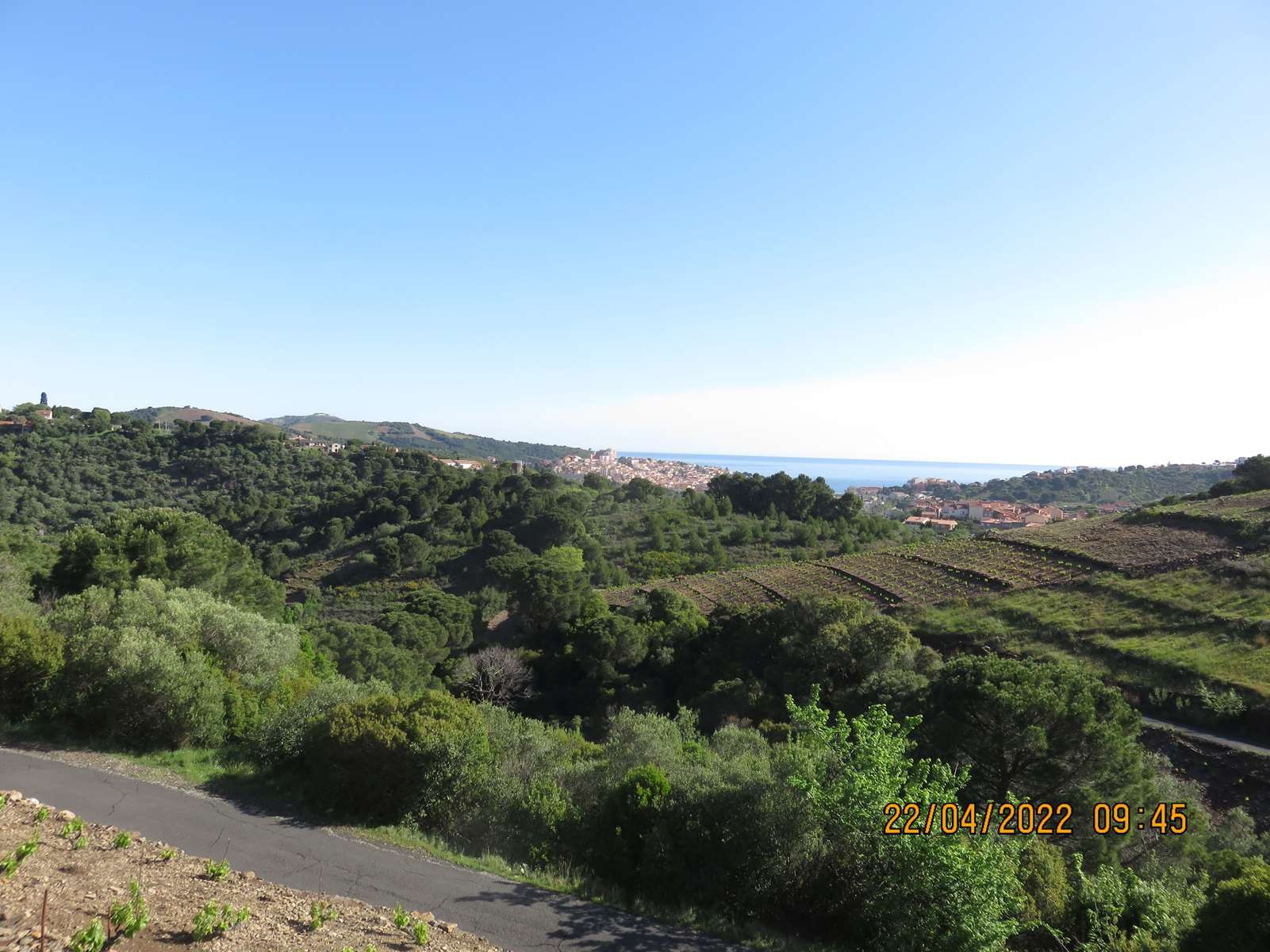 Copie 0 img 3346