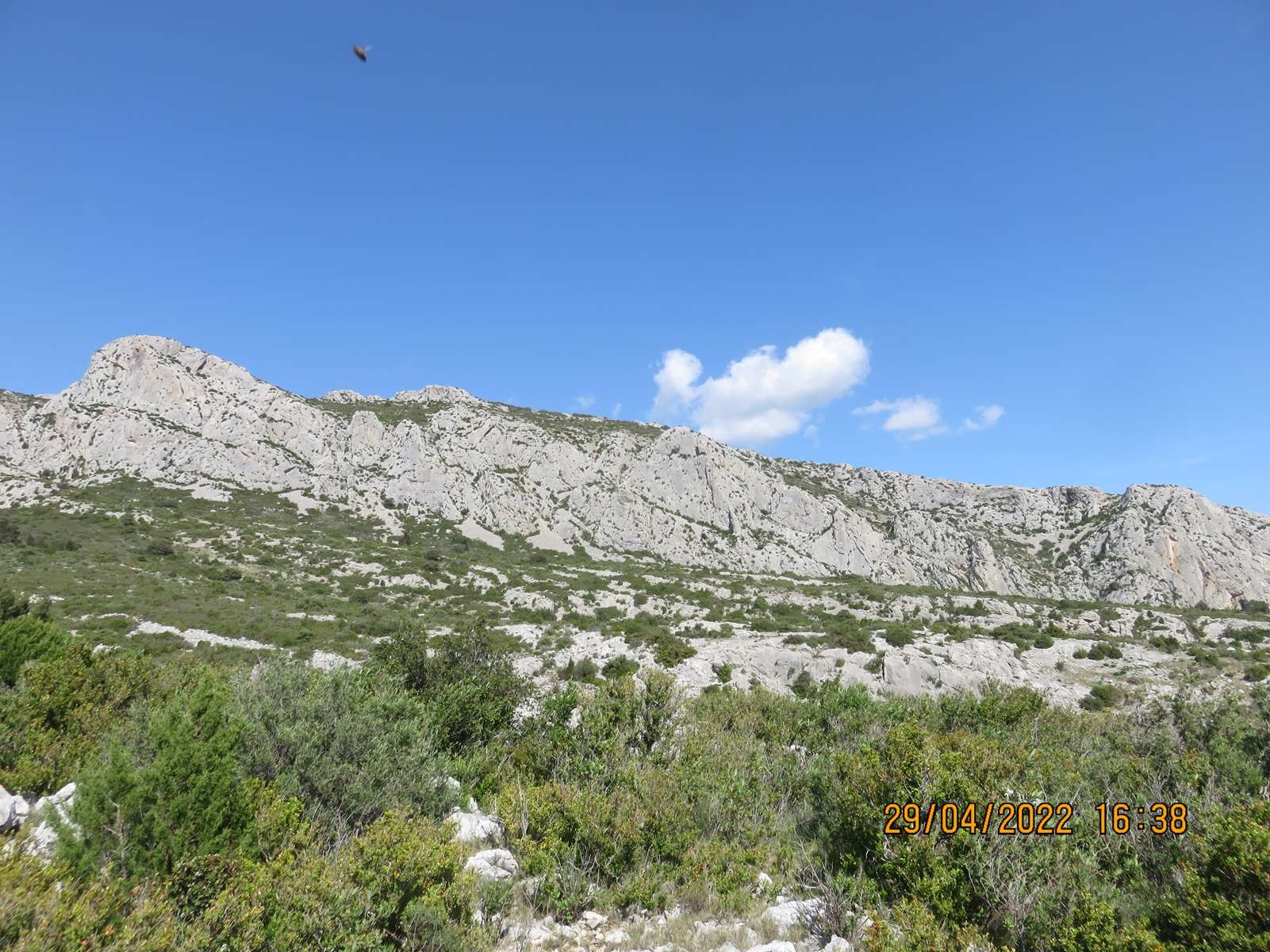 Copie 0 img 3426