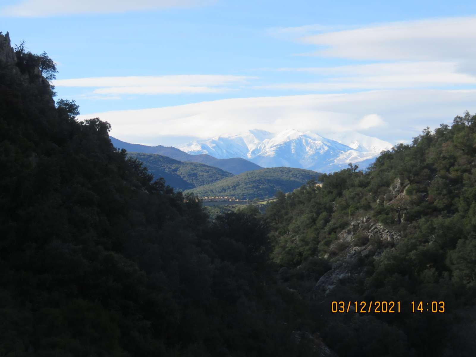 Copie 0 img 2346