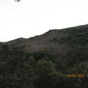 Copie 0 img 2826