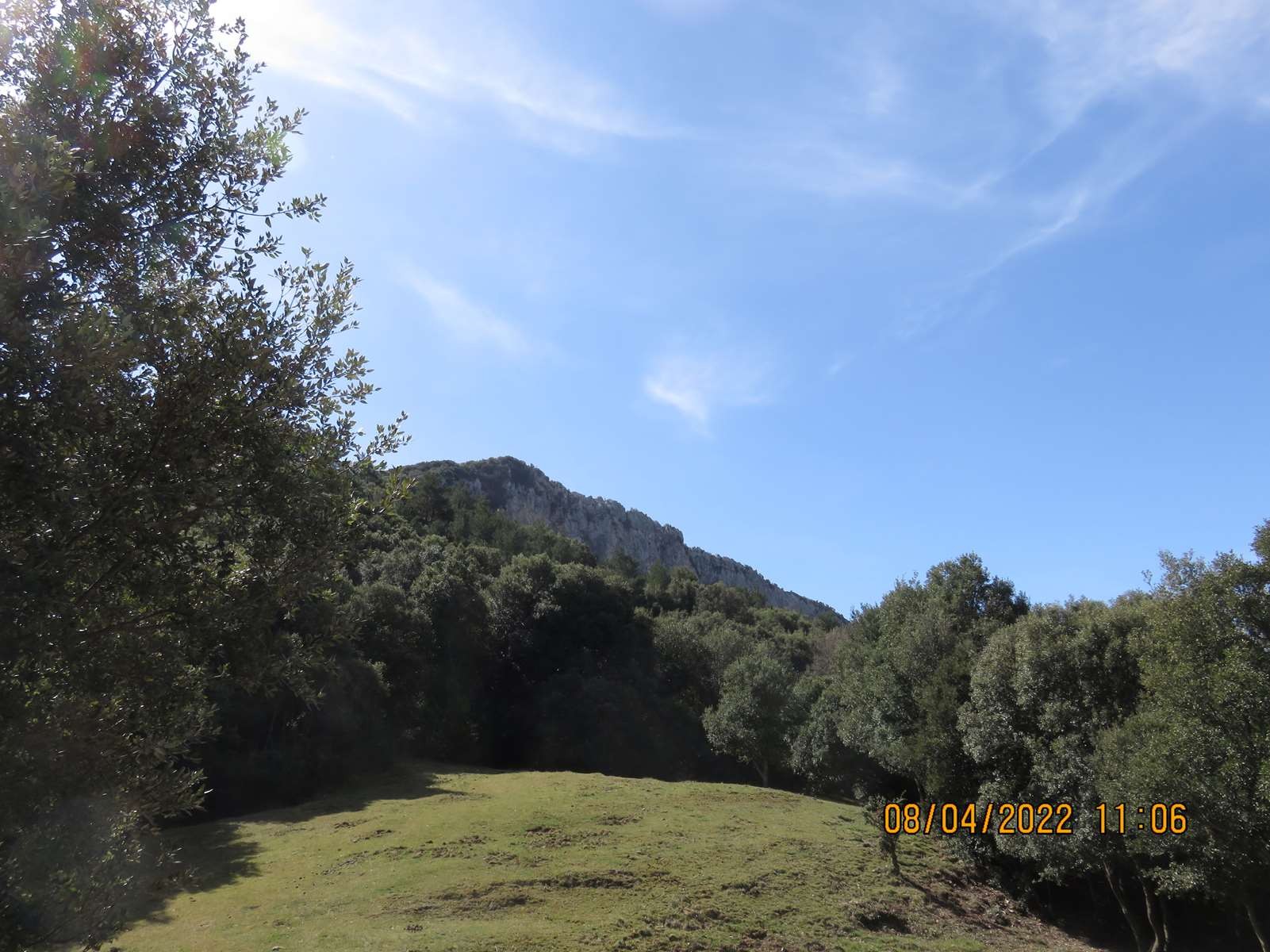 Copie 0 img 3177