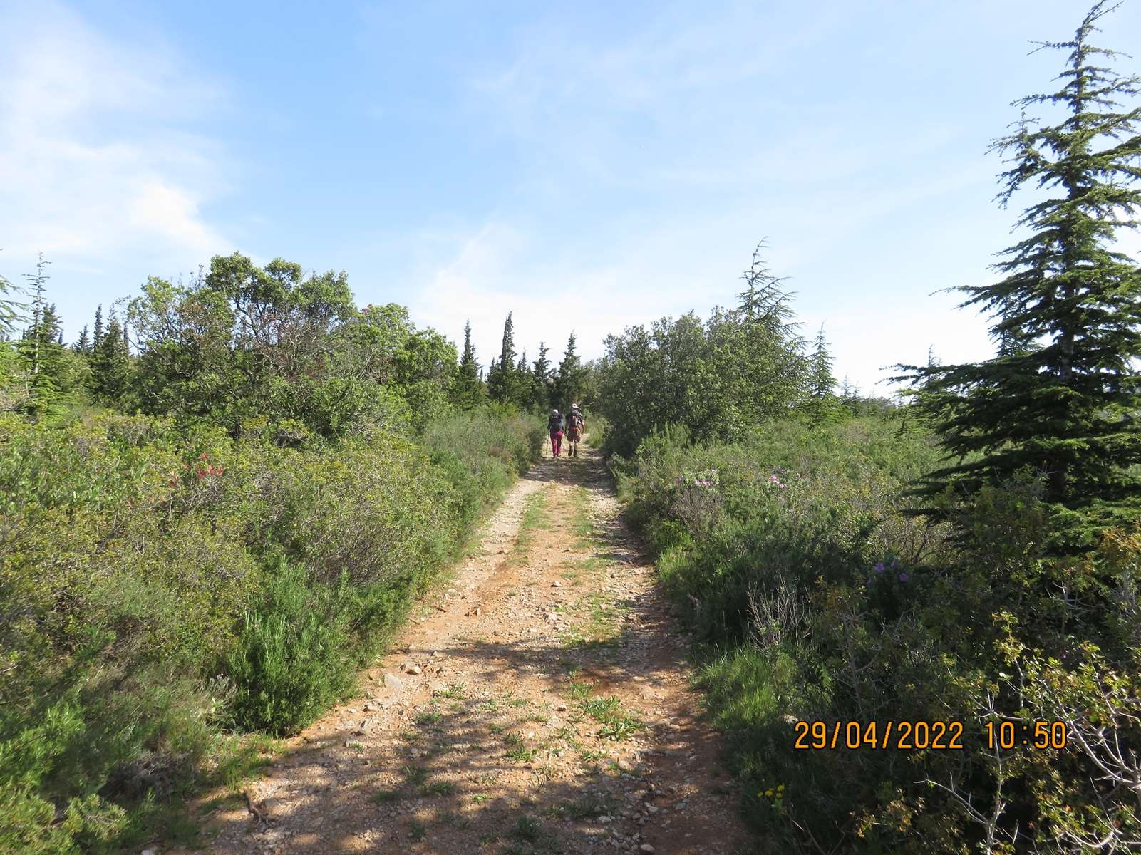 Copie 0 img 3397