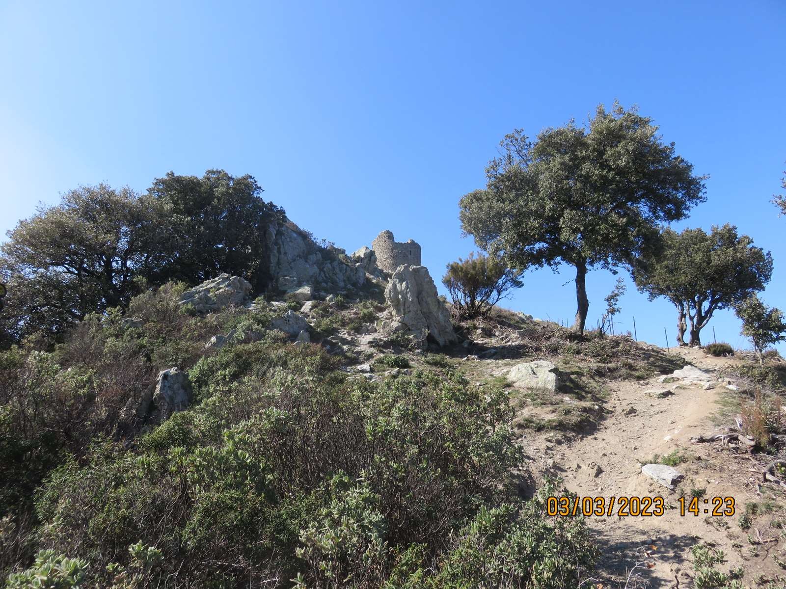 Copie 0 img 4725