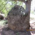 Copie 0 img 5195