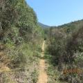 Copie 0 img 5197