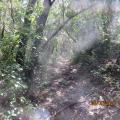 Copie 0 img 5198