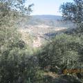 Copie 0 img 6953