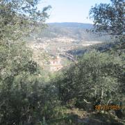 Copie 0 img 6953