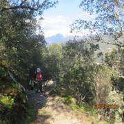 Copie 0 img 6954