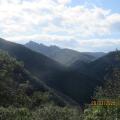 Copie 0 img 6958
