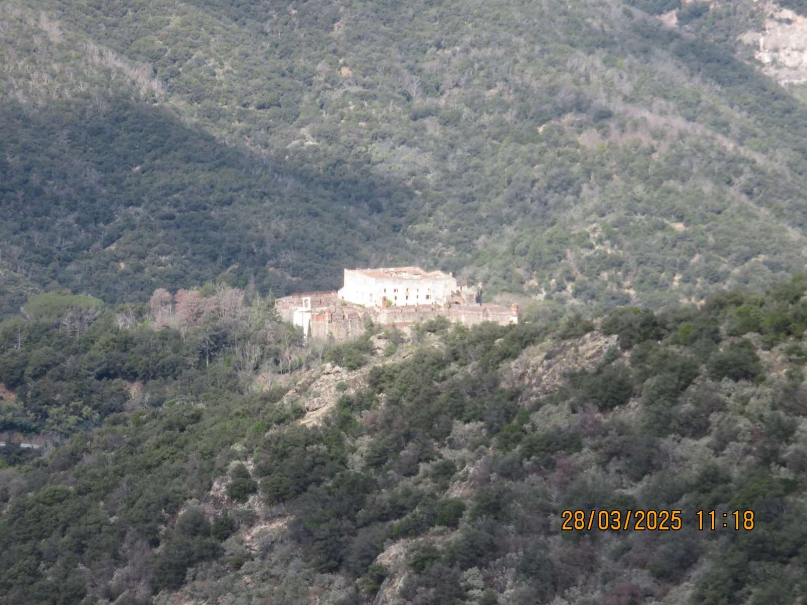 Copie 0 img 6961