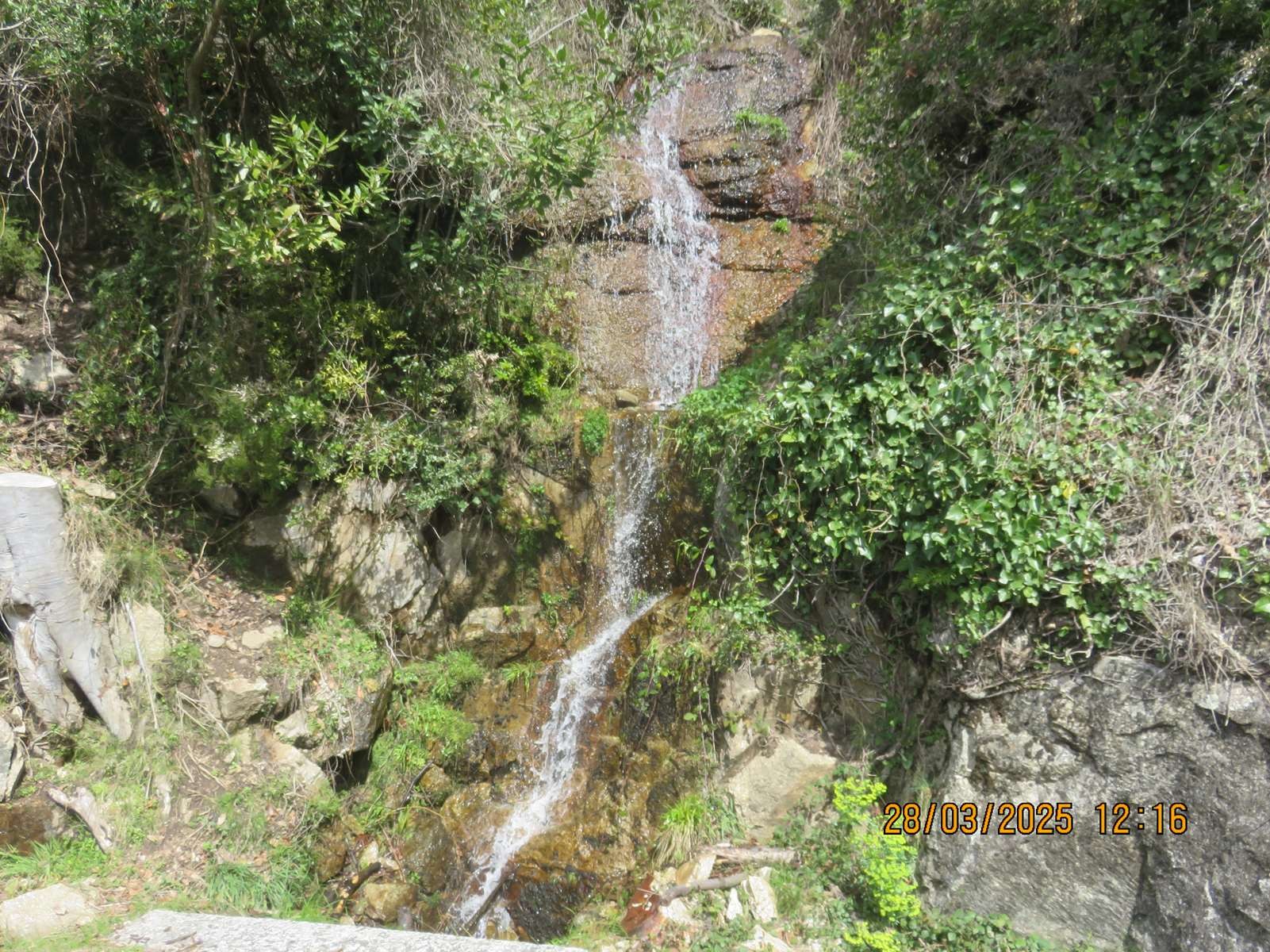 Copie 0 img 6967