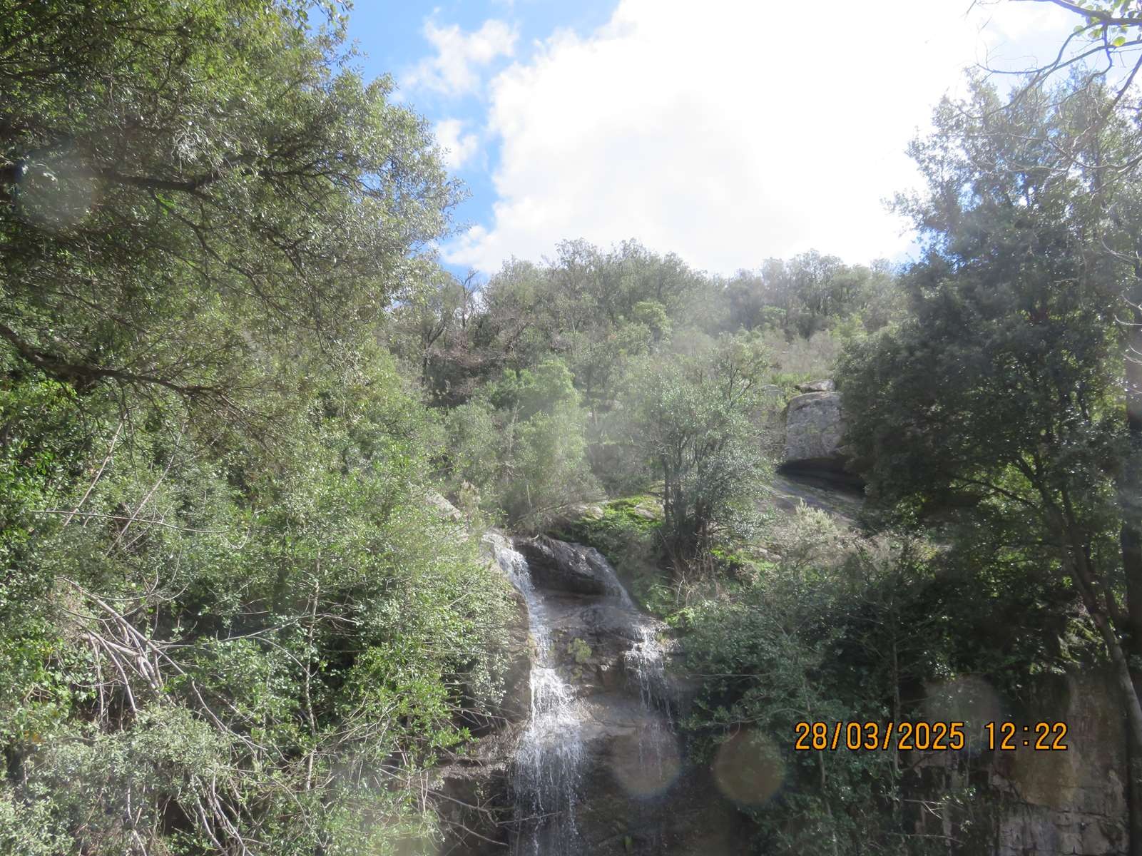 Copie 0 img 6970