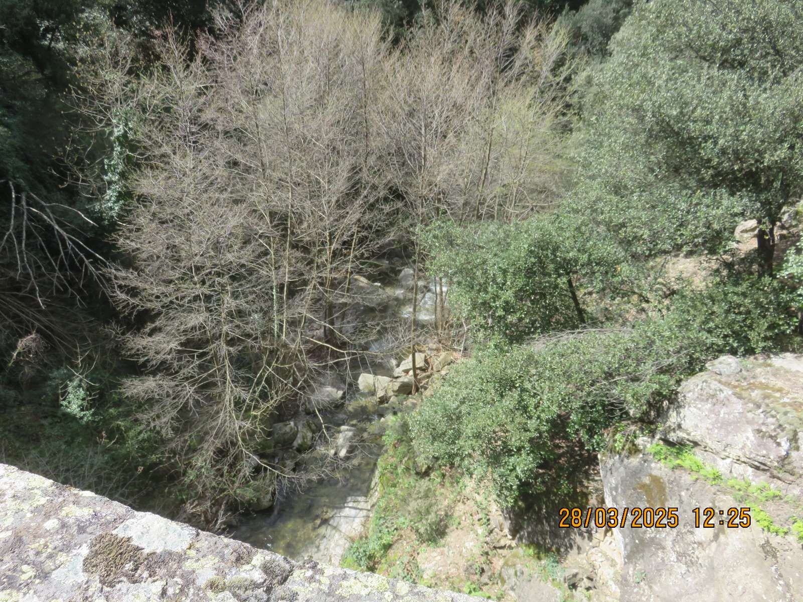 Copie 0 img 6973