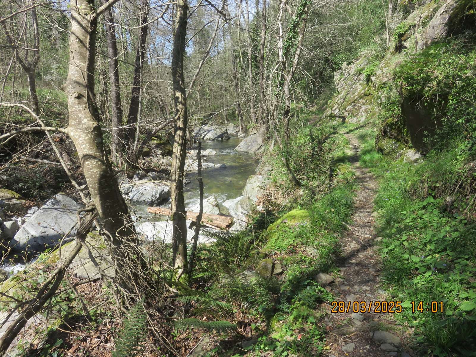 Copie 0 img 6983