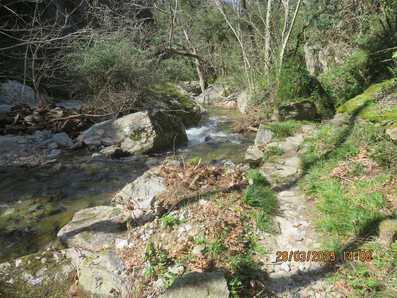 Copie 0 img 6987
