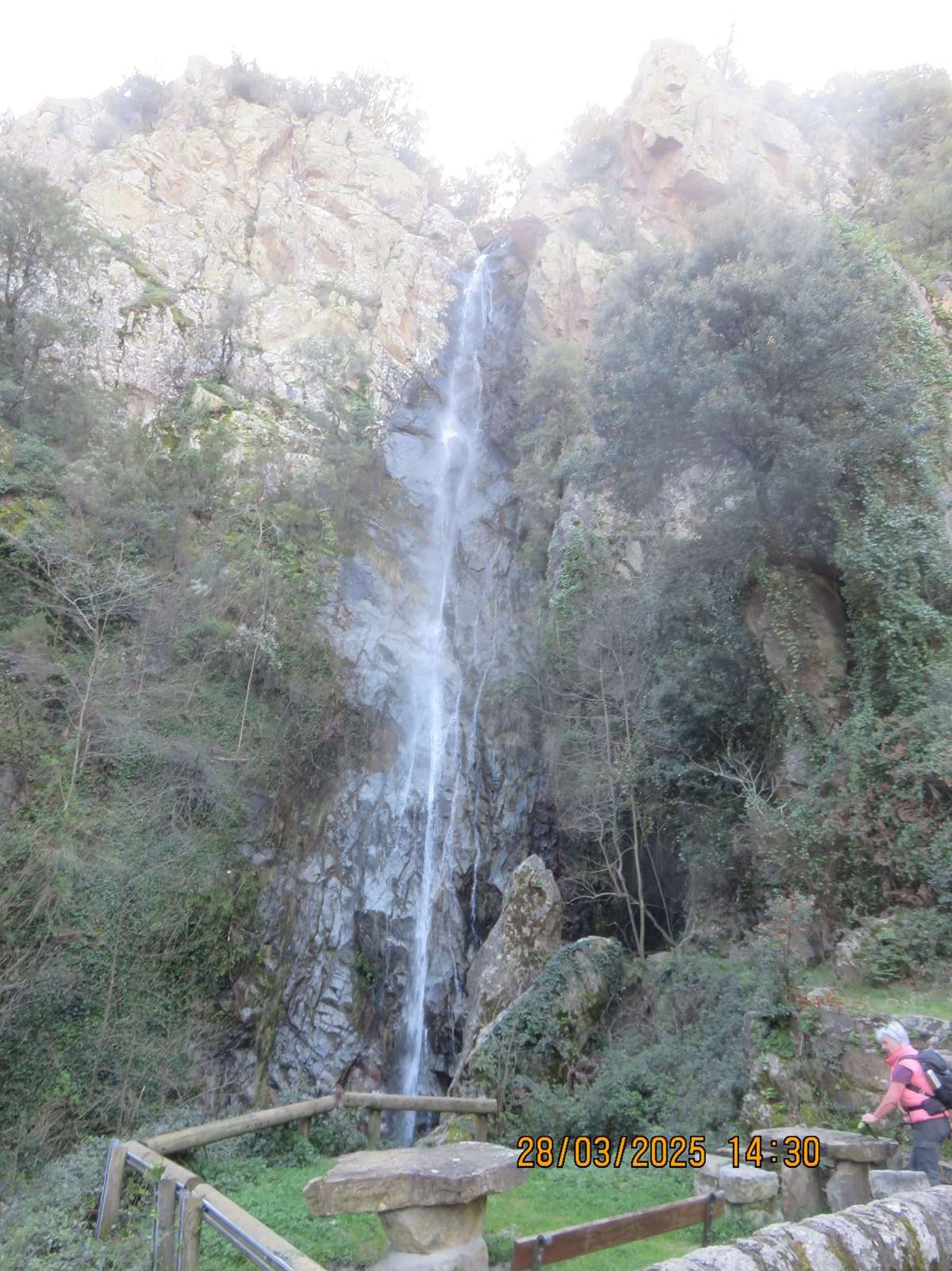 Copie 0 img 6988