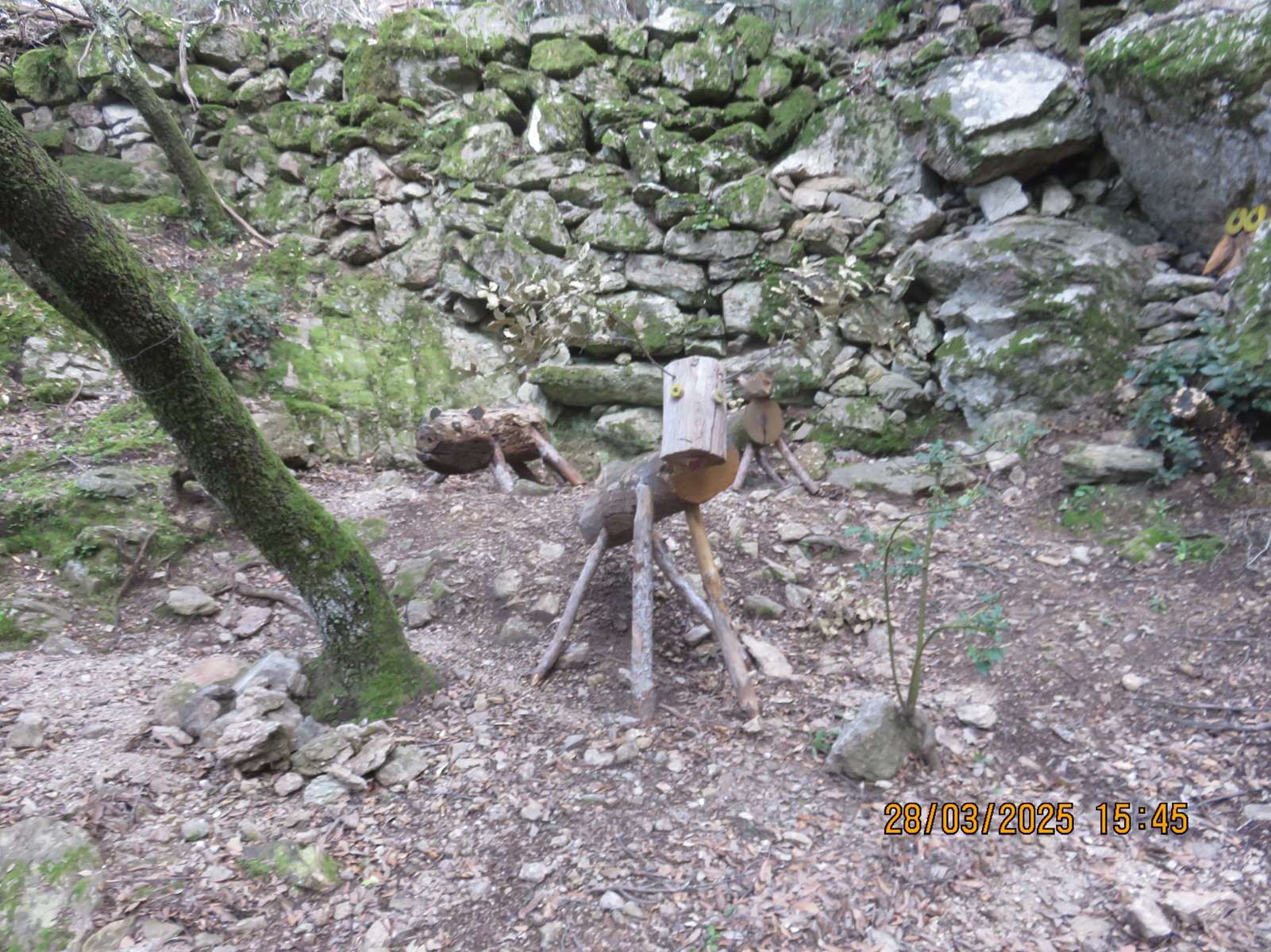 Copie 0 img 6994
