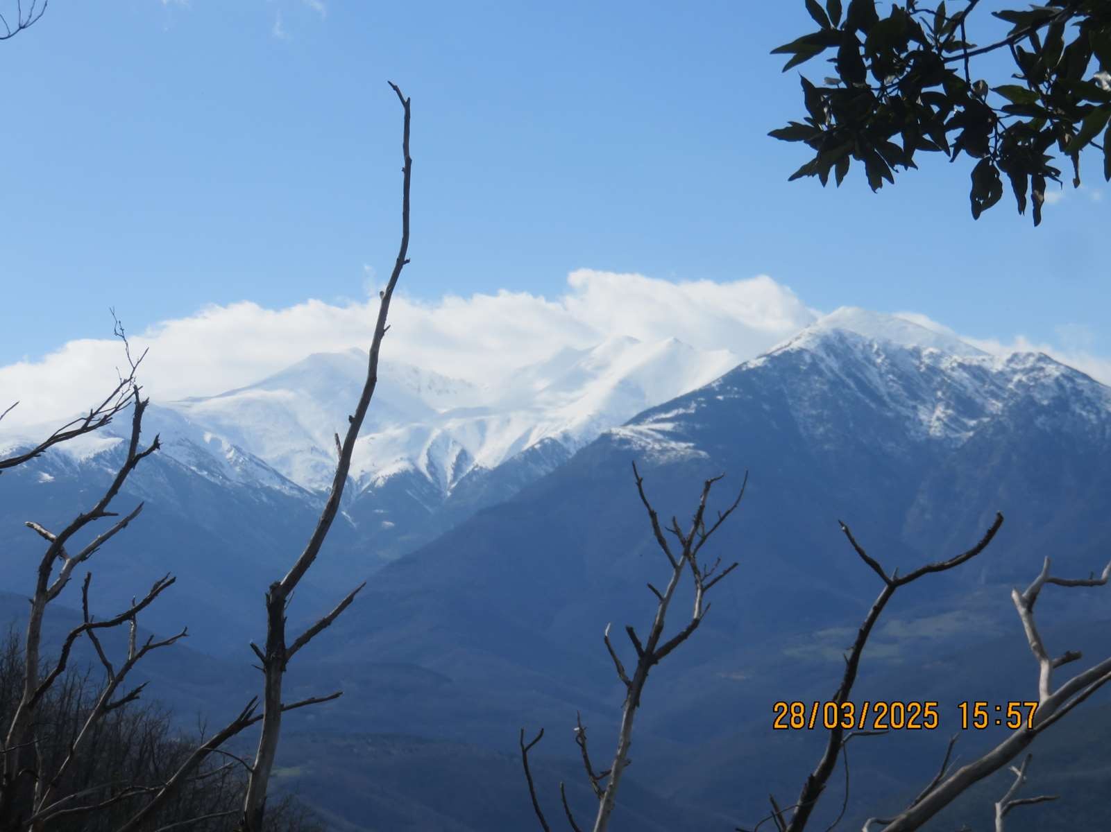 Copie 0 img 6999