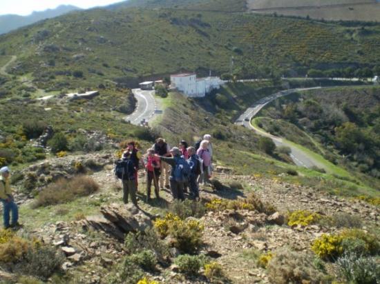 Il n'a plus de Pyrénées