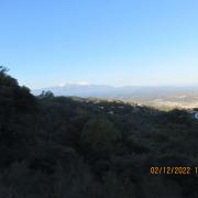 Img 4051