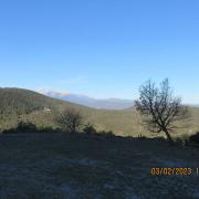 Img 4479