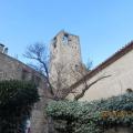 Img 4671