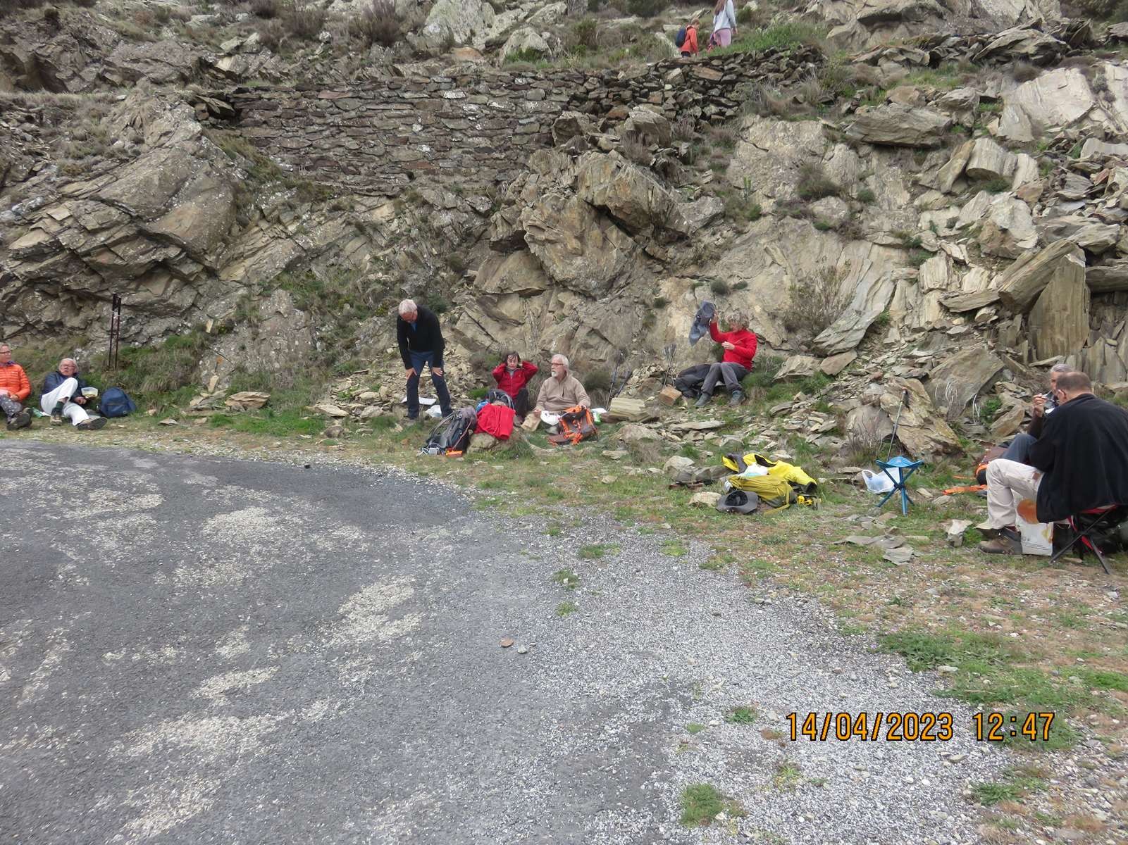 Img 4919
