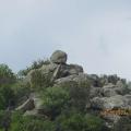 Img 4991