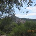 Img 5048
