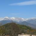 Img 5396