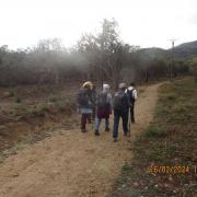 Img 5613