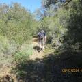 Img 5695