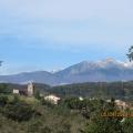 Img 5779